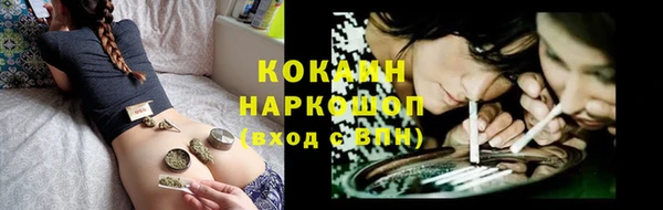 соль ск Бородино