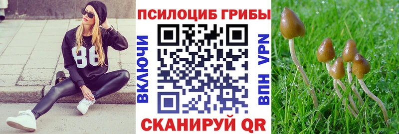 где купить наркотик  Энгельс  Псилоцибиновые грибы GOLDEN TEACHER 