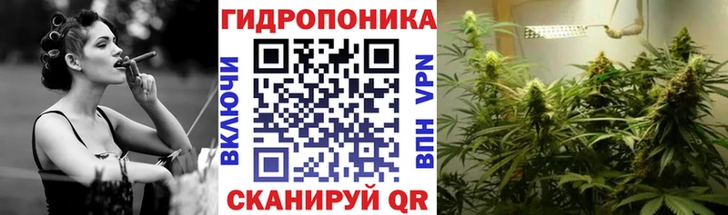 МЕГА   Энгельс  Шишки марихуана планчик 